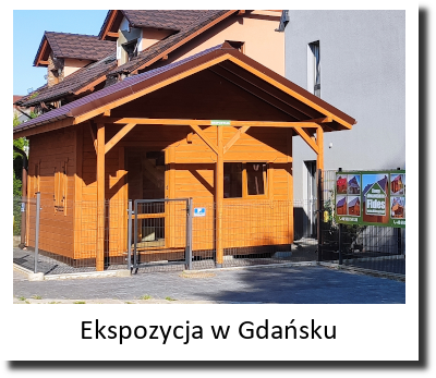 Fides - domy drewniane: Ekspozycja w Gdańsku